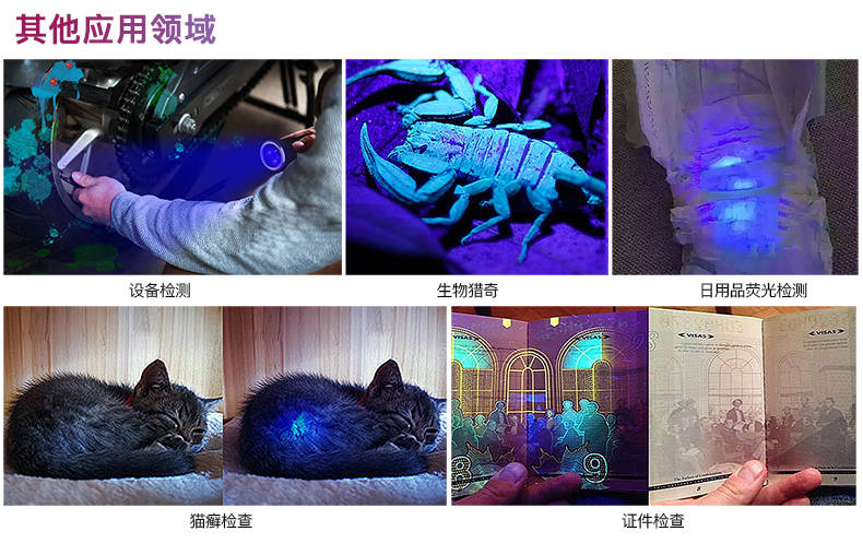 手電筒廠(chǎng)家