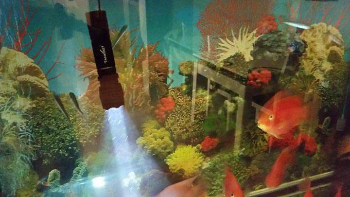 手電PT10,為戰(zhàn)術而生